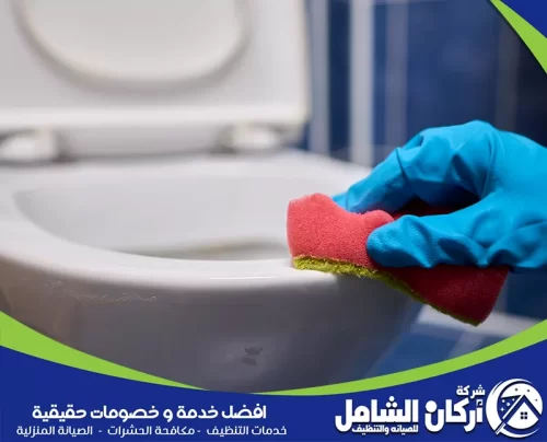 تنظيف كرسي الحمام بعناية لإزالة الرواسب والروائح من الحواف والمناطق الحساسة.
