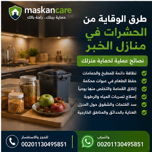 طرق الوقاية من الحشرات في منازل الخبر – نصائح عملية
