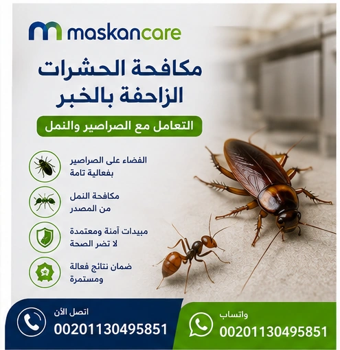 مكافحة الحشرات الزاحفة بالخبر – التعامل مع الصراصير والنمل