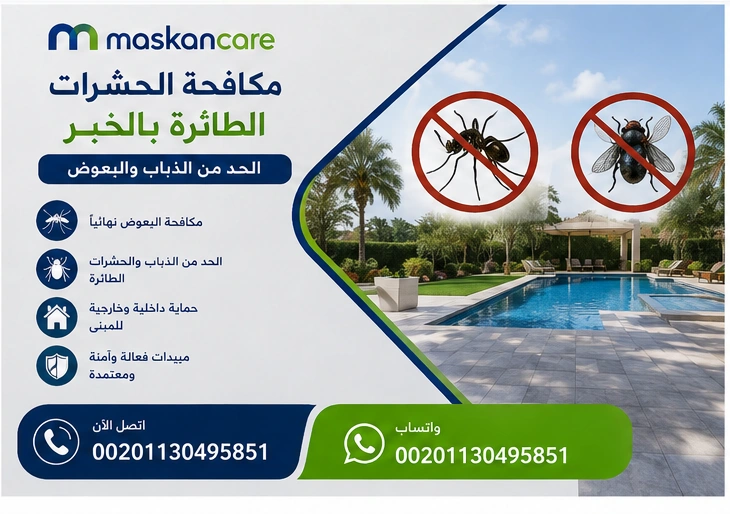 مكافحة الحشرات الطائرة بالخبر – الحد من الذباب والبعوض