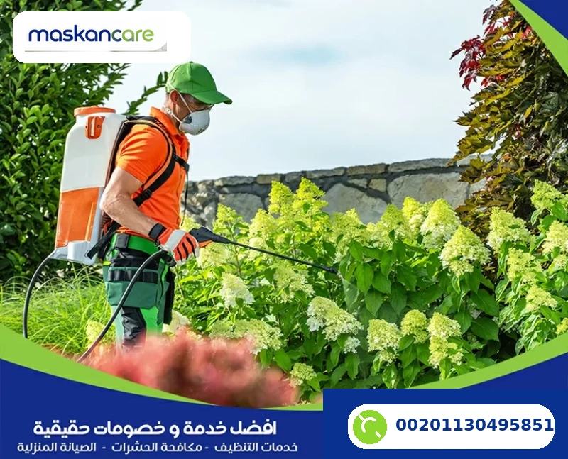 شركة مكافحة حشرات بالقطيف