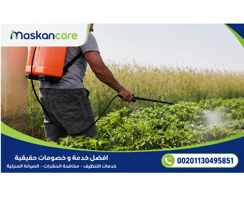 شركة رش مبيدات بالدمام