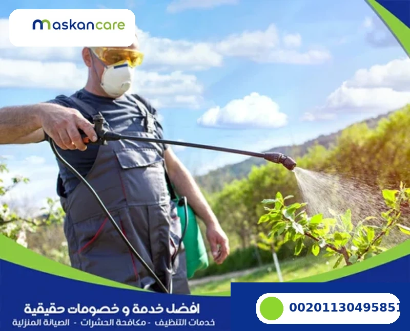 شركة رش مبيدات بالخبر